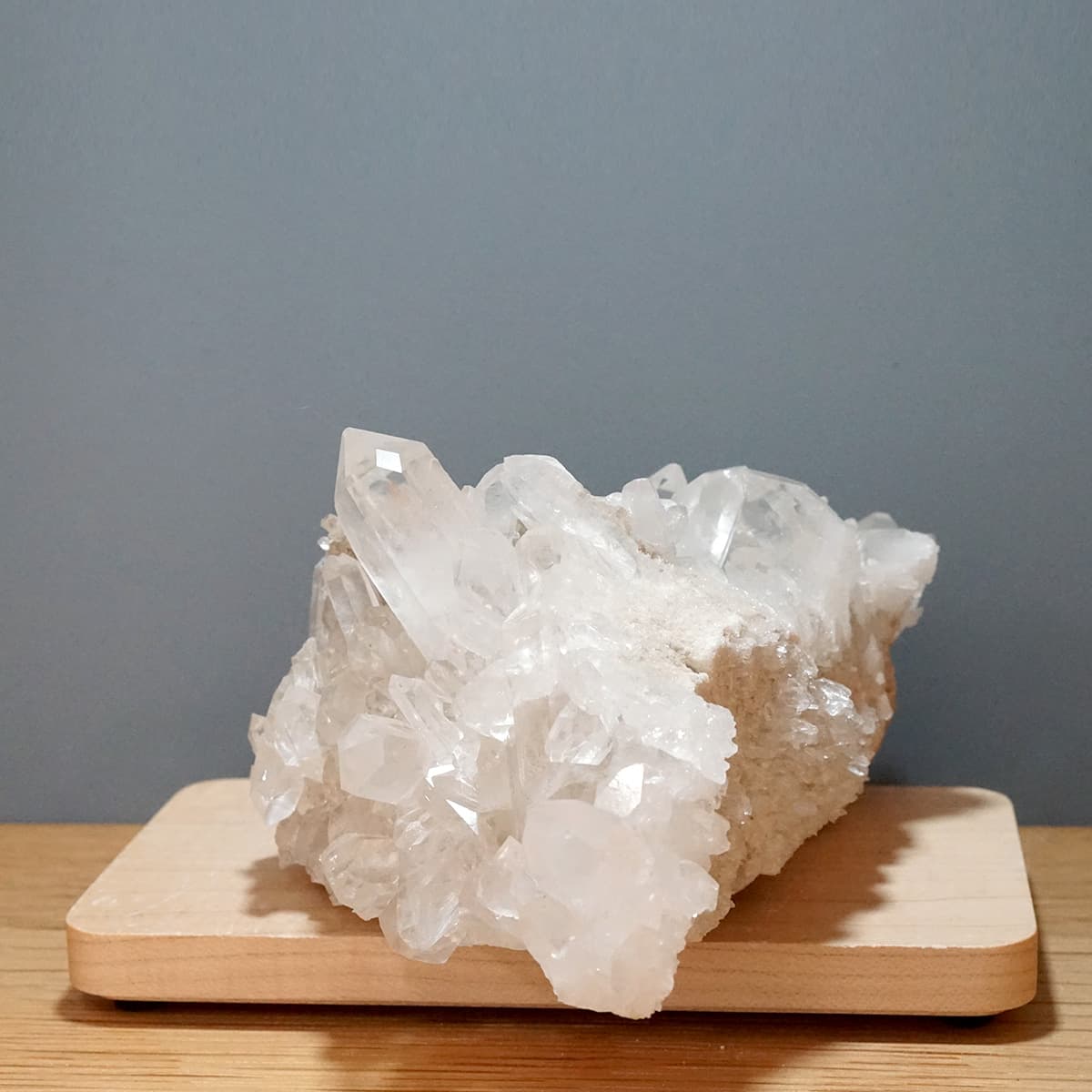 �ҥޥ��徽 ���饹���������Сʥ����ë�� No.11  [ ������ʪ������ʪ ]  