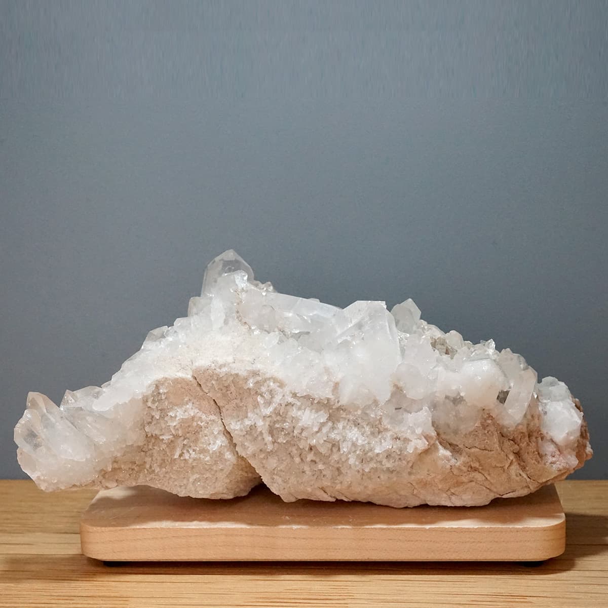 �ҥޥ��徽 ���饹���������Сʥ����ë�� No.11  [ ������ʪ������ʪ ]  