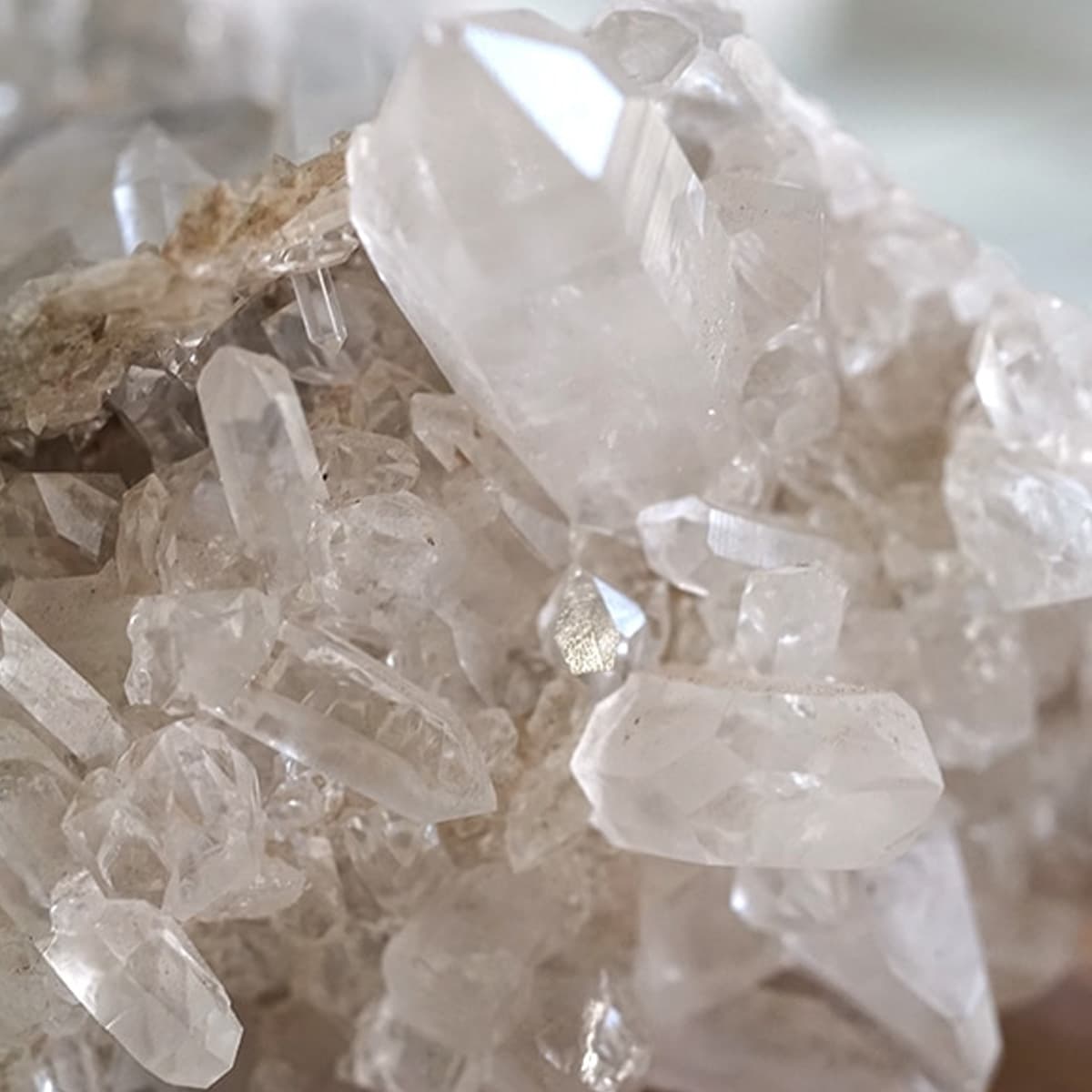 �ҥޥ��徽 ���饹���������Сʥ����ë�� No.11  [ ������ʪ������ʪ ]  