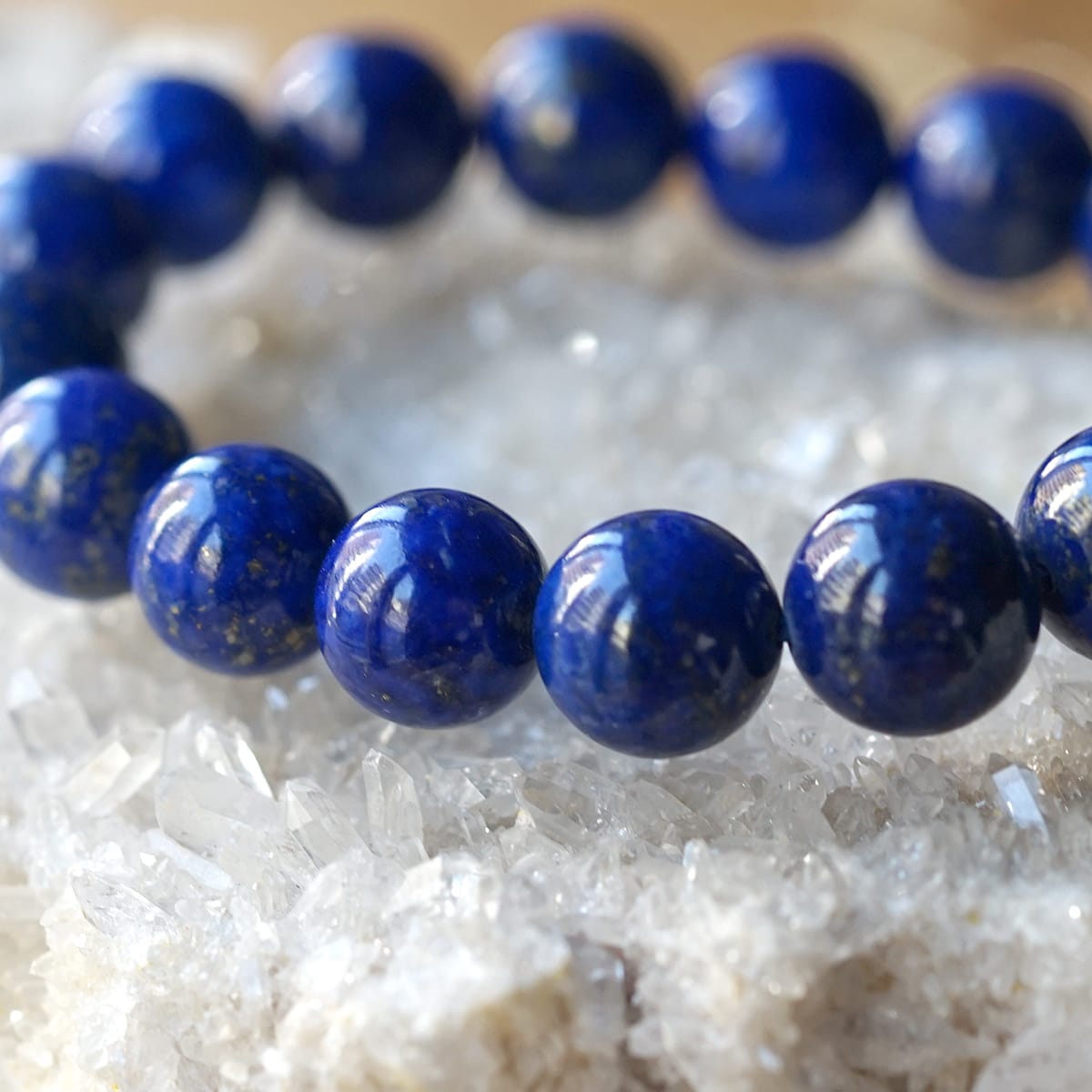 ��ԥ��饺�� �֥쥹��åȡ�̵�忧��̵�����˺ǹ��ڥץ�ߥ����  12mm�� No.51  [ ������ʪ������ʪ ]  