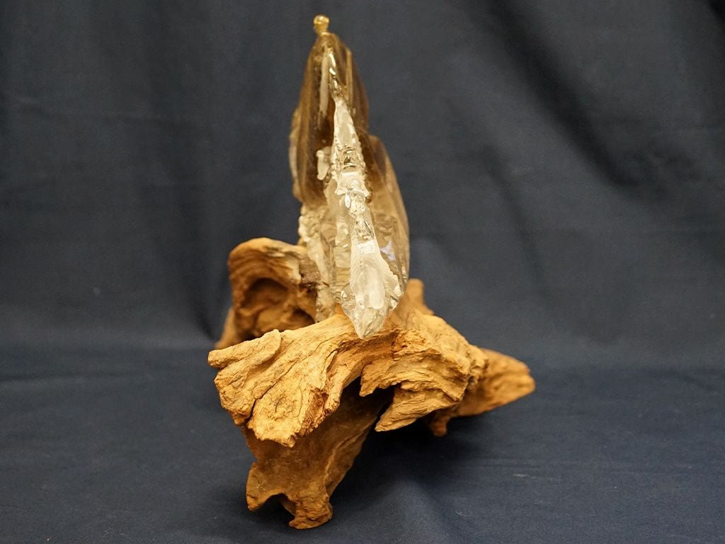 ������������ ζĦ��ʪ  No.33  �ǹ�� �ڥץ�ߥ����