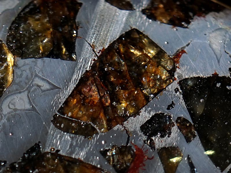 パラサイト隕石　ペンダントトップ　B パラサイト隕石】 セリコ隕石 ペンダントトップ 大型サイズ