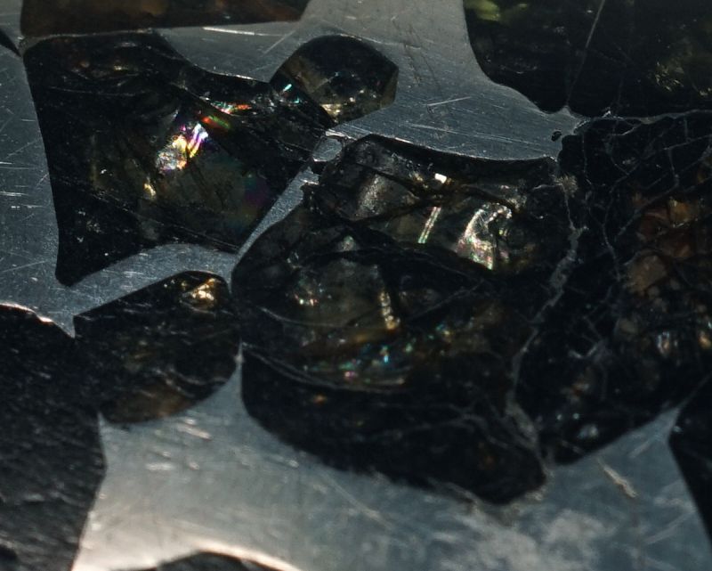 �ѥ饵������� �ڥ����ȥȥå� ��18�⥤������������ɡ� No.13