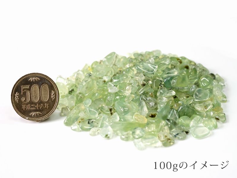 �ץ�ʥ��� ��������åס���100g ������