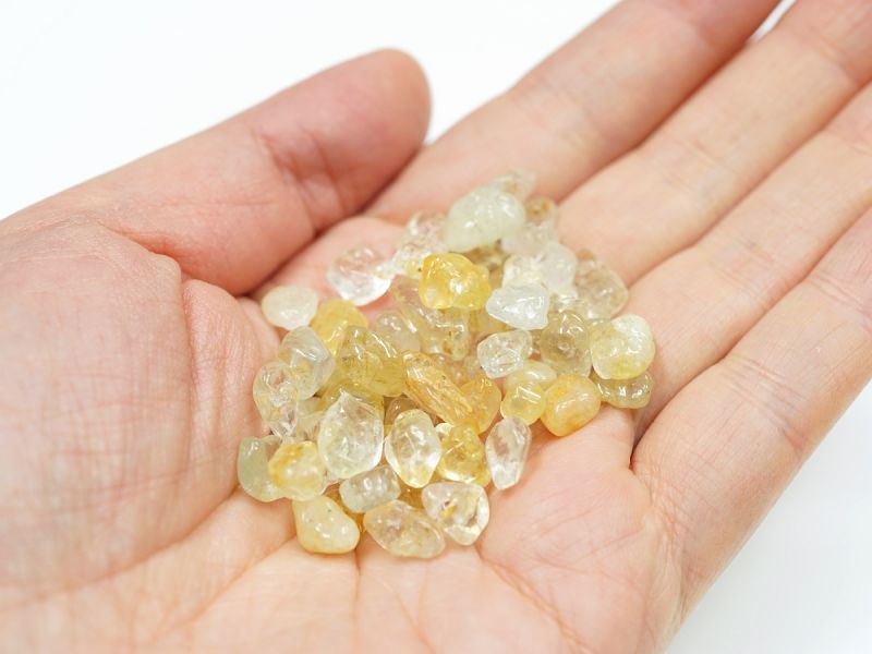 ���������ȥѡ��� ��������åס���100g ������