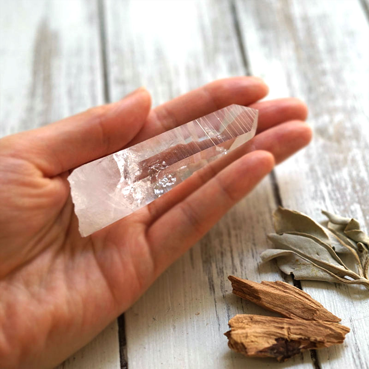 �ҡ���� �ݥ���� �ڥ��ꥢ�󥷡��ɥ��ꥹ����۱��ҤȷҤ���̤�������󤻤�ʥݡ����դ���