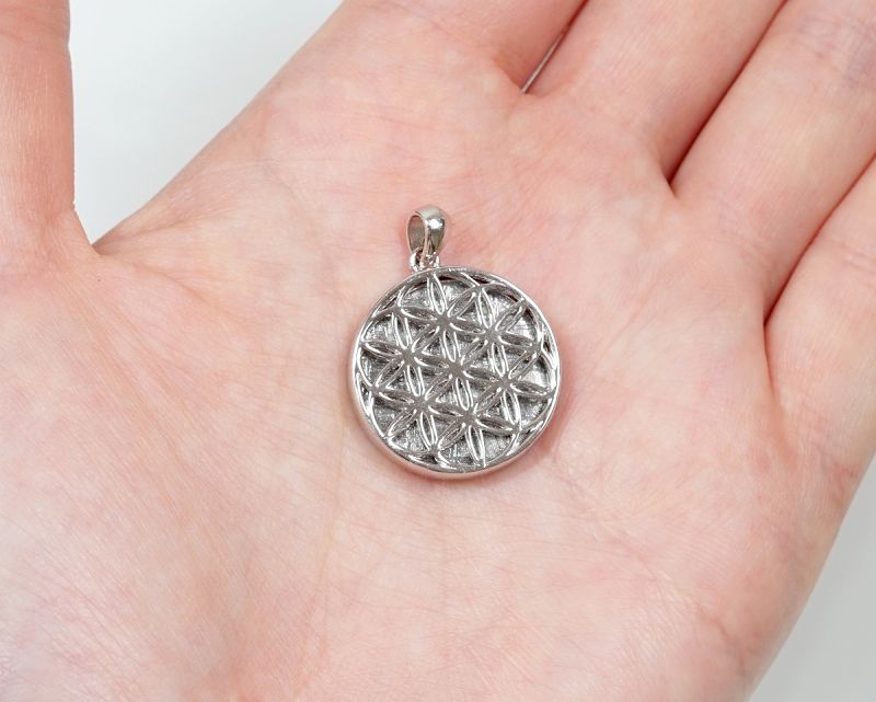 ギベオン隕石 フラワーオブライフ ペンダントトップ Sサイズ （SV925
