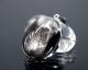 �ץ�������ͥ���� �ڥ����ȥȥå� ��18��ۥ磻�ȥ�����ɡ�  No.4 �ʴ��̽��ա� �ǹ���5A��