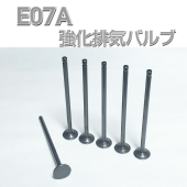 フォレストエンジニア ヴィヴィオrx-r 強化EXバルブ フォレスト