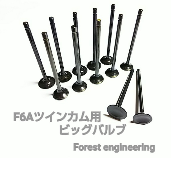 F6A ツインカム用ビッグバルブ