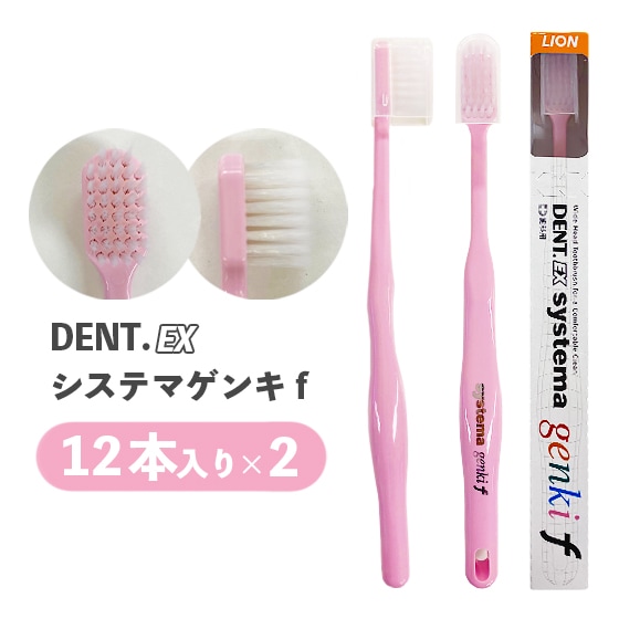 DENT.EXシステマゲンキf 12本入り 2個セット