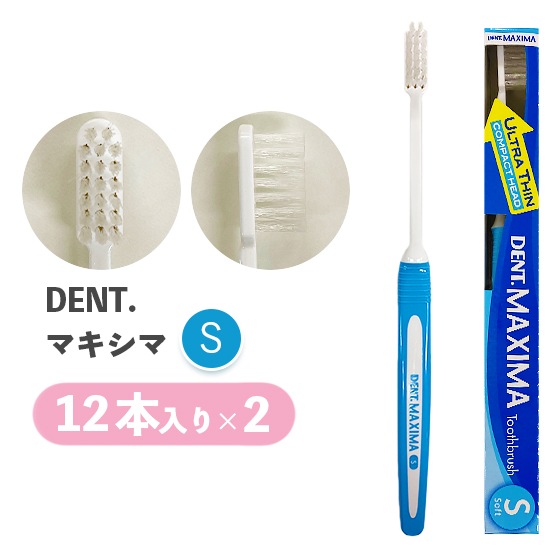 【S】DENT.マキシマ 12本入り 2個セット