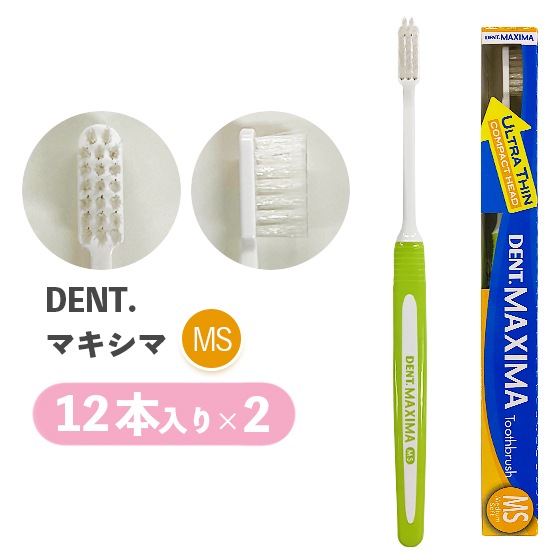 【MS】DENT.マキシマ 12本入り 2個セット