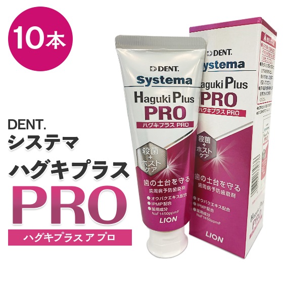 システマハグキプラスプロ 10本入り