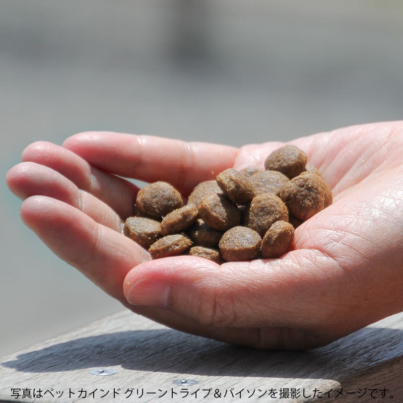 ペットカインド（ゴールドライン） グリーンベニソントライプ