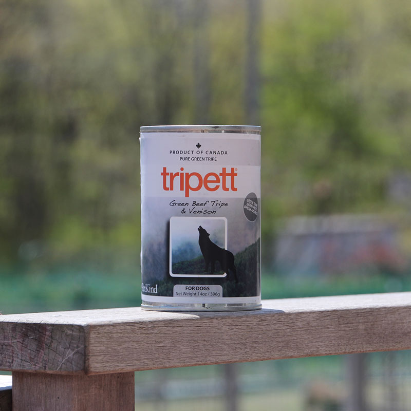 トーブスベンセン COLLIE コリー ドッグ プレート デンマーク製4枚セット トーブスベンセン COLLIE コリー ドッグ プレート デンマーク製4枚セット