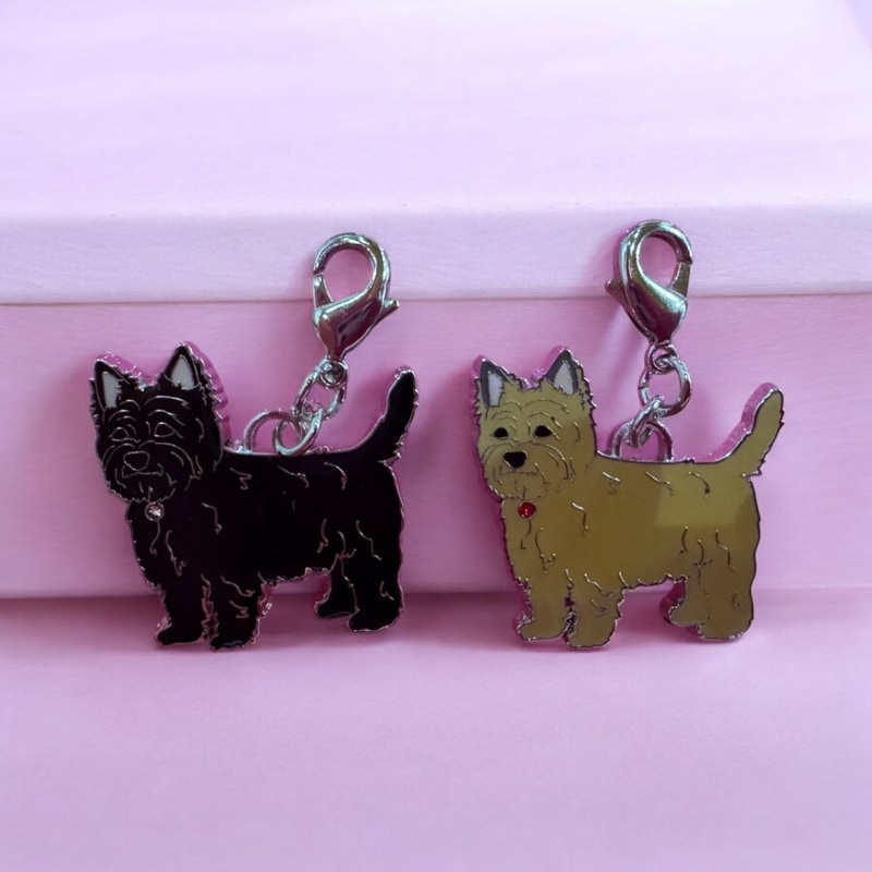 ��������ƥꥢ�Υ��㡼��