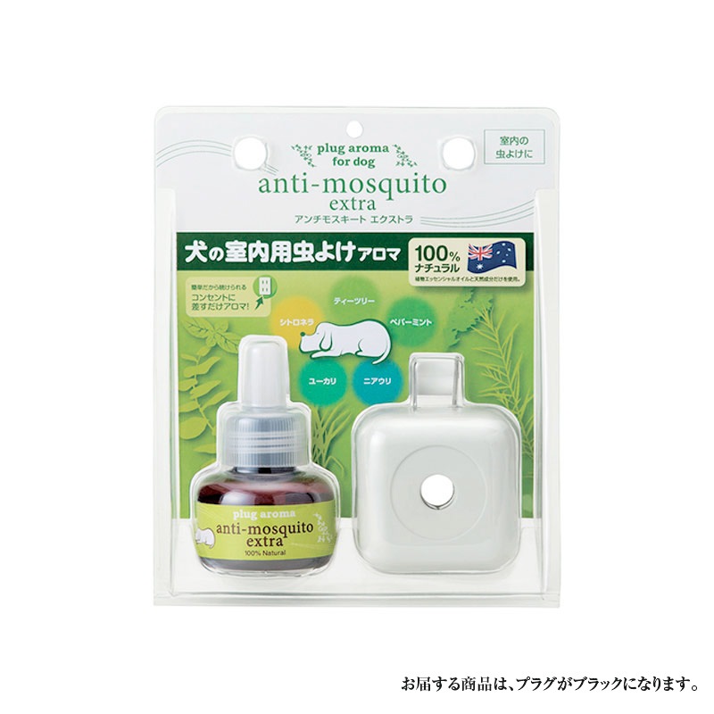 ������⥹�����ȥꥭ�åɡ��������ȥ�ꥭ�åɡ����å�