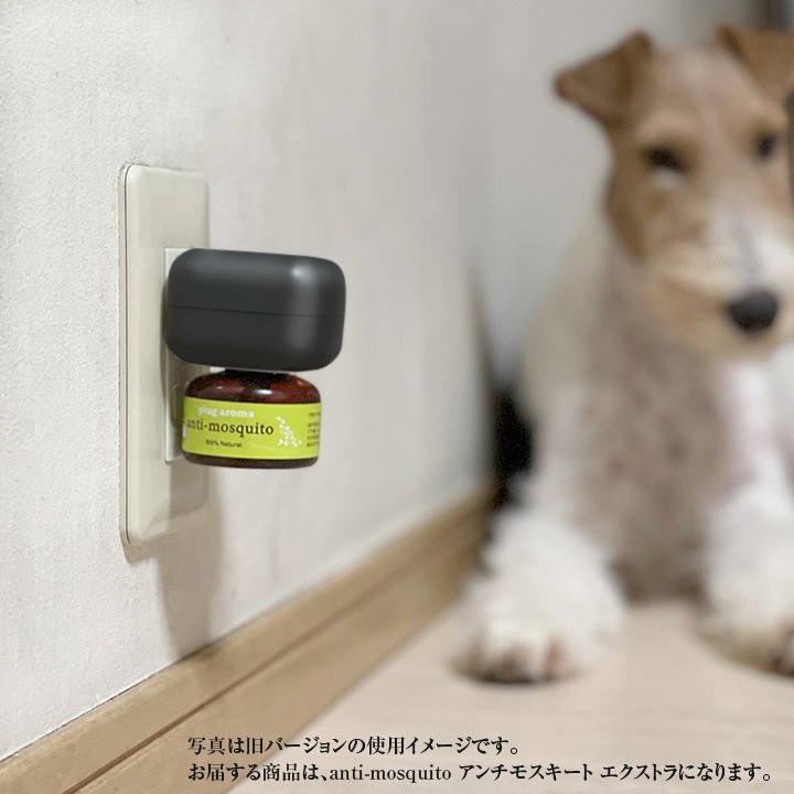 ������⥹�����ȥꥭ�åɡ��������ȥ�ꥭ�åɡ����å�