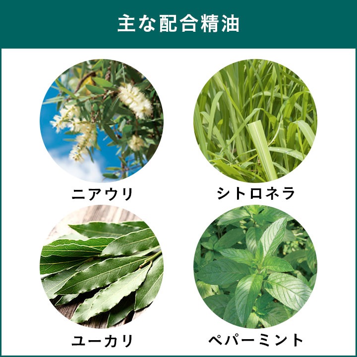 ������⥹�����ȥꥭ�åɡ��������ȥ�ꥭ�åɡ����å�