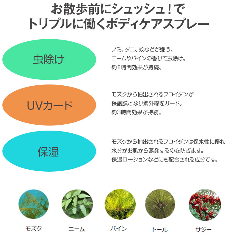 WAFONA�������ȥɥ����ܥǥ��������ץ졼