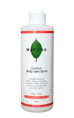 WAFONA�������ȥɥ����ܥǥ��������ץ졼