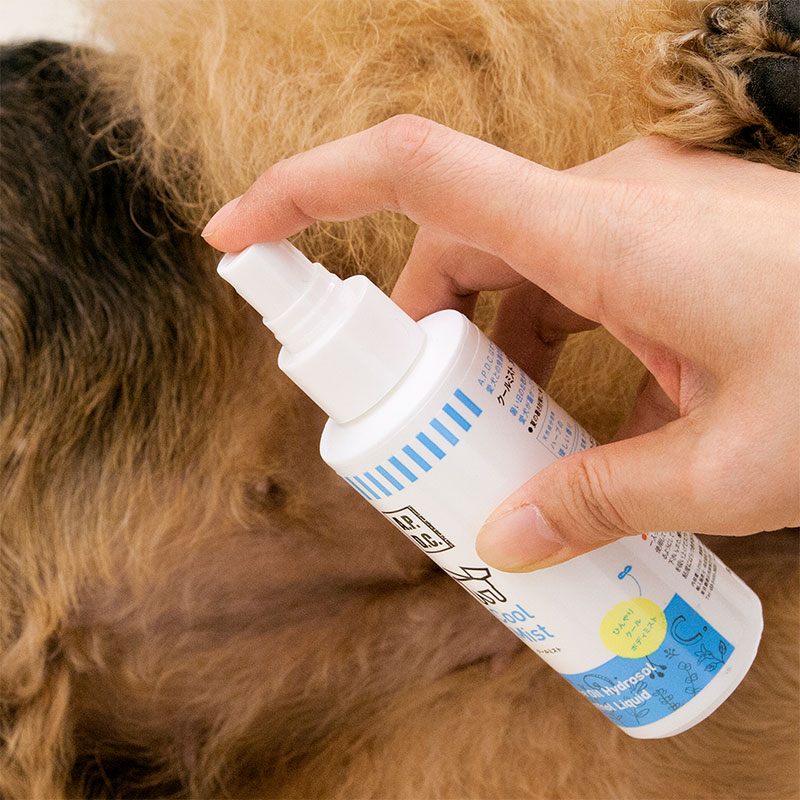 APDC ������ߥ��� 125mL