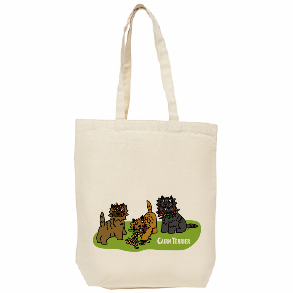 ��������ƥꥢ�Υ����ѥ��ȡ��ȥХå�