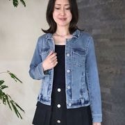 �ǥ˥ॸ�㥱�å�/BLUE FRONCE��ISKO)��9626