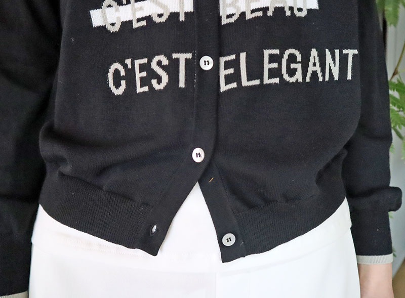 ���������ǥ�����/Le MARAIS��9628