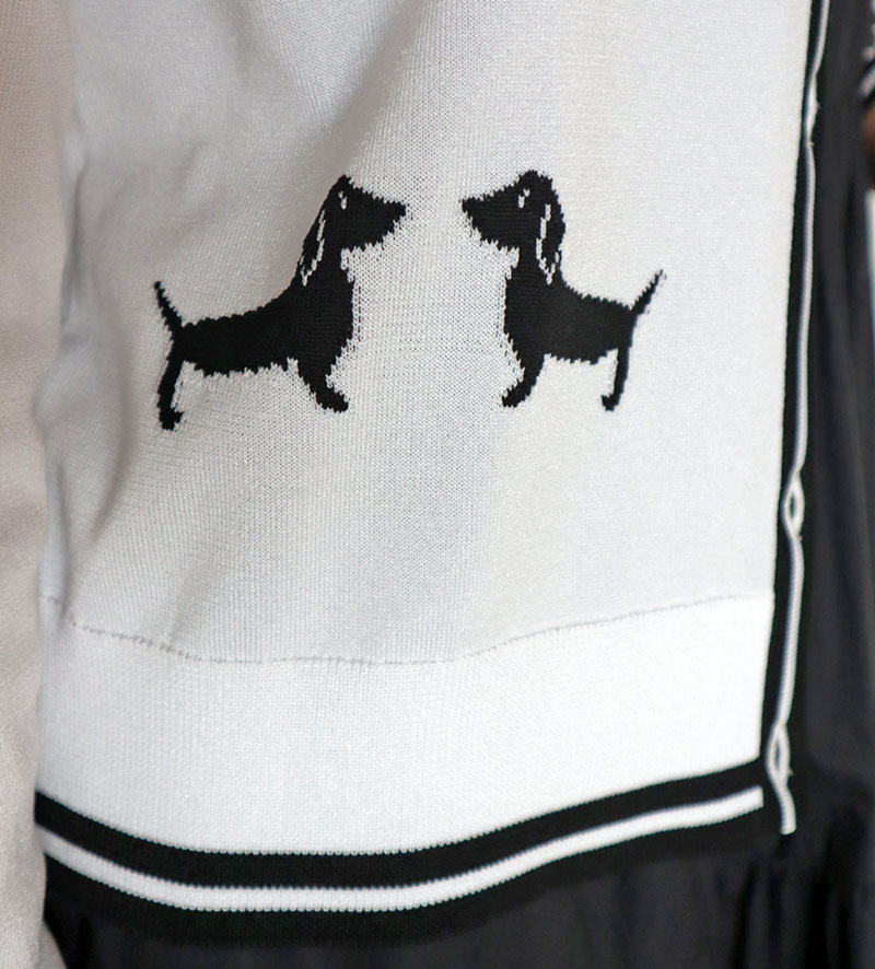 å㥬ɿǥ/DUAL VIEW9170