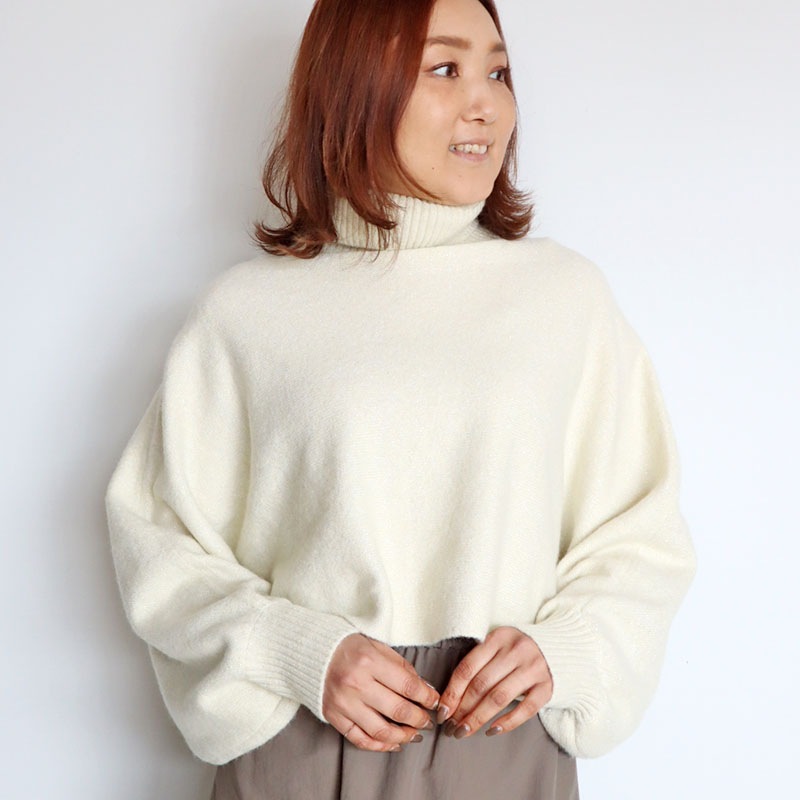 ᥷硼Ⱦ˥å/BLUE FRONCE9399