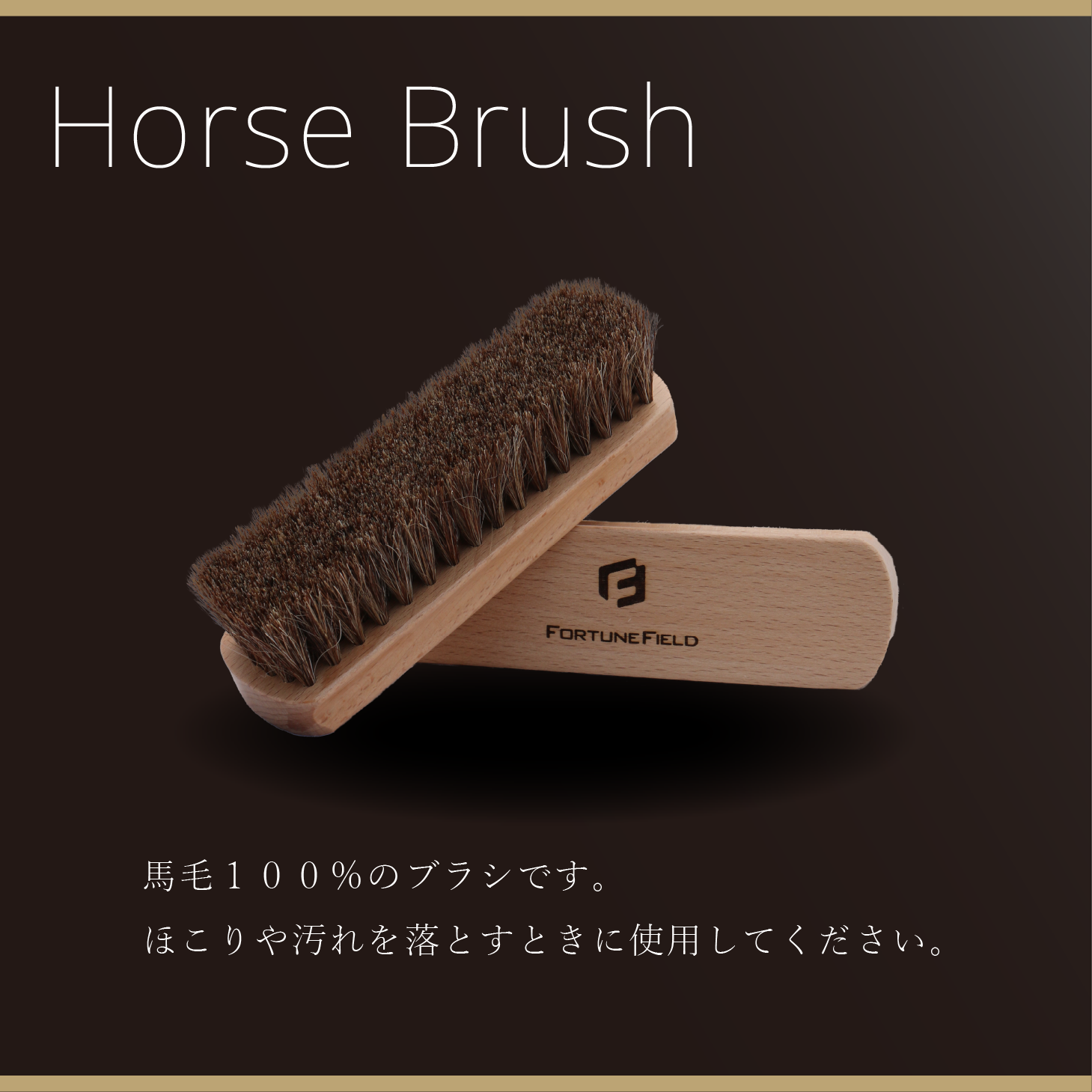 FORTUNE��FIELD������֥������åȡ���SPECIAL EDITION��