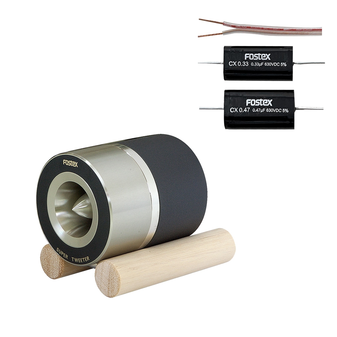 FOSTEX フォステクス FT90H スーパーツイーター ペア