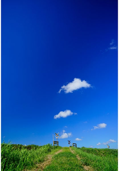 ����������ɳ� ��036�� ������Ŵƻ�����ǷĮƧ��