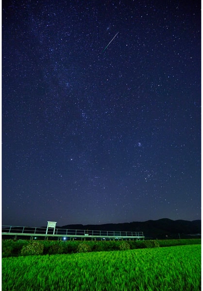 ����������ɳ� ��038�� ͳ���⸶Ŵƻ