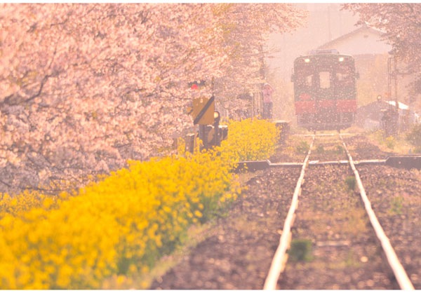 ����������ɳ� ��040�� ������ƻ