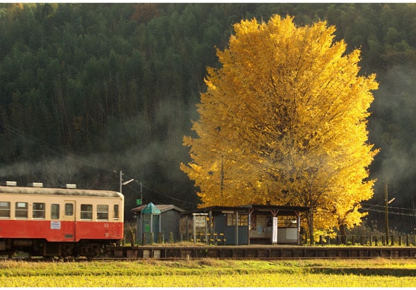 ����������ɳ� ��041�� ��̫��ƻ������