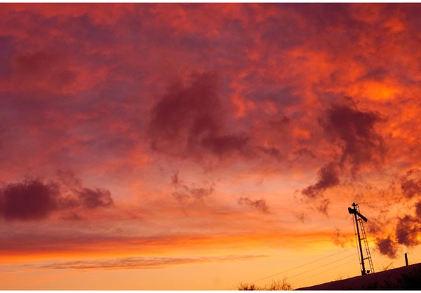 ����������ɳ� ��042�� �ŷ�Ŵƻ