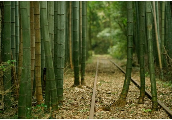 ����������ɳ� ��043�� �ҵ���������