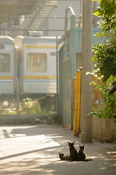 �ͤ�Ŵ ��0024�������� �����ǭ