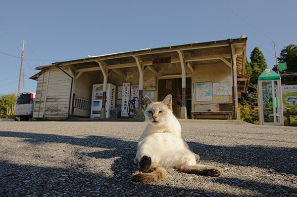 �ͤ�Ŵ ��0029�۾�̫��ƻ ���ä���ǭ