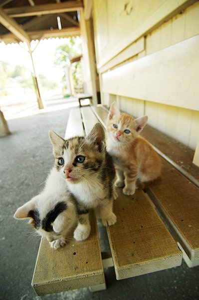 �ͤ�Ŵ ��0040�۾�̫��ƻ ��ǭ����