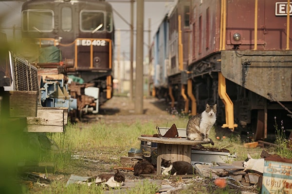 �ͤ�Ŵ ��0041�۳���Ŵƻ