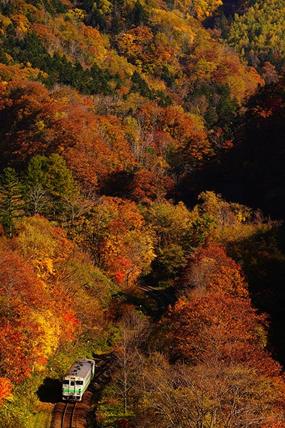 �������0005�۹��դ�ͼĥ����