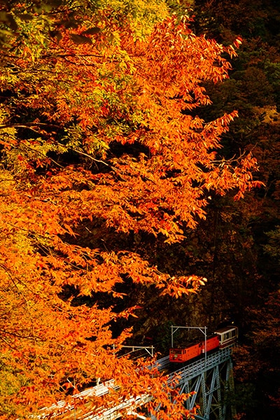 �������0015�۹�����ëŴƻ