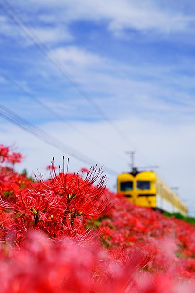 �������0020�۰�Ȫ�ż� ��߲�