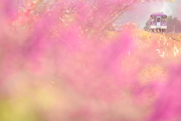 �������0021���̾�Ŵƻ