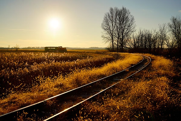 £�ꤿ���ʤ��0006�ۥϥ󥬥꡼ �Х�ȥ�ե��˥������建��Ŵƻ