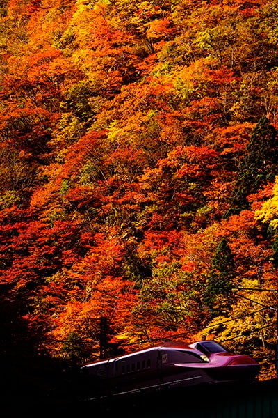 £�ꤿ���ʤ��0010���������� ���դ�E6�Ϥ��ޤ�